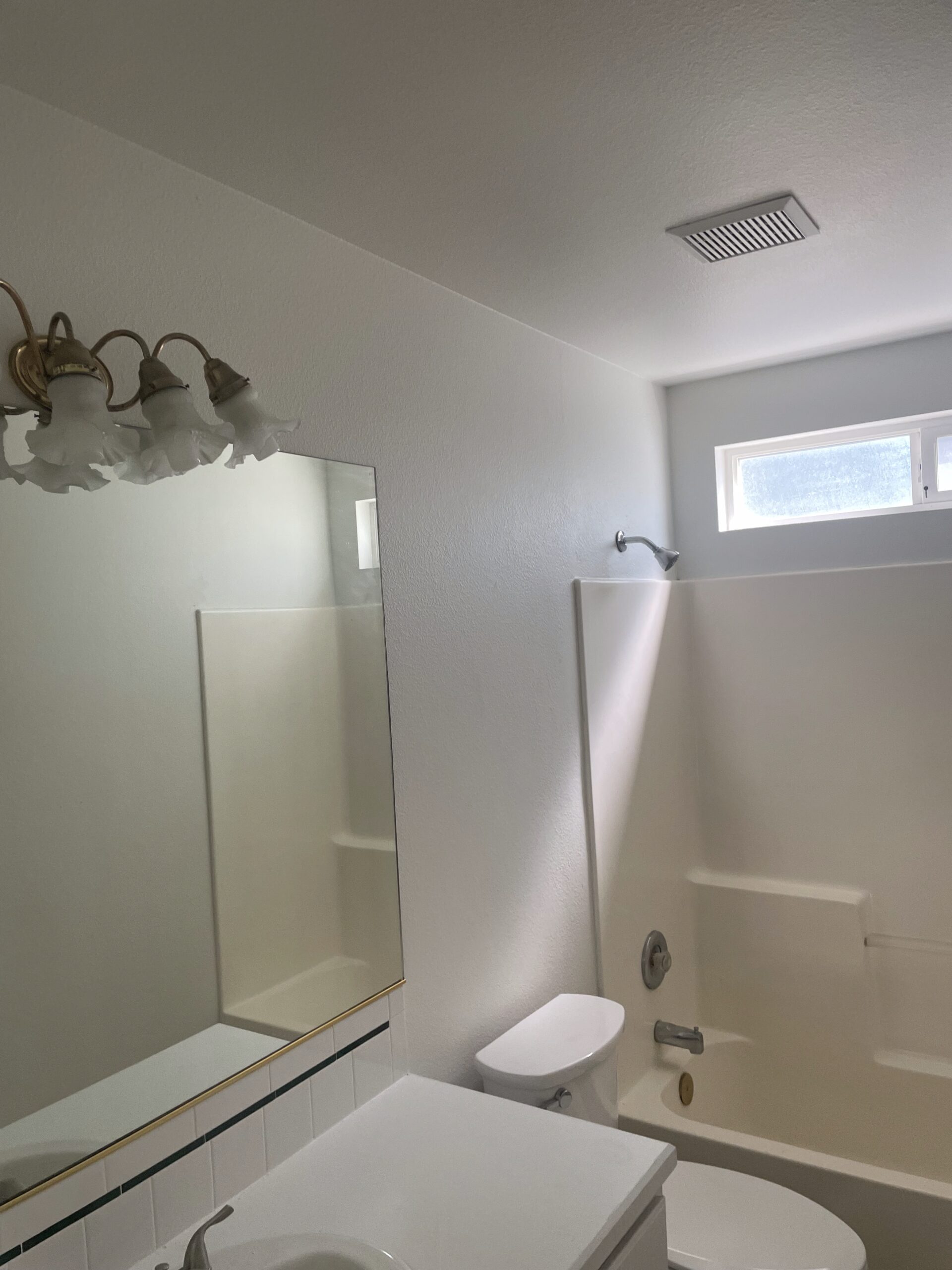 Commercial Painting Services delivering professional office and retail painting with premium finishes